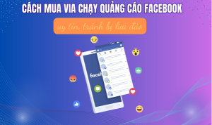 Địa chỉ mua via uy tín