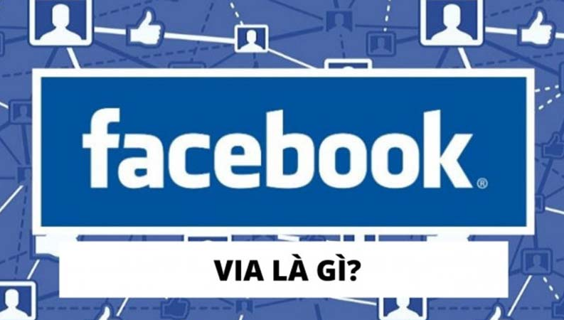 Via là gì