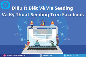 Điều Ít Biết Về Via Seeding Và Kỹ Thuật Seeding Trên Mạng Xã Hội 