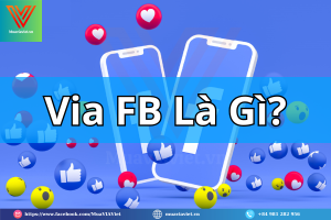 Via FB Là Gì?