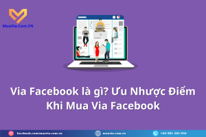 Via Facebook là gì? Ưu Nhược Điểm Khi Mua Tài Khoản Facebook