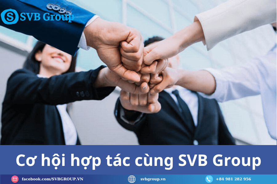Tập đoàn công nghệ SVB Group 8 Cơ hội hợp tác cùng SVB Group