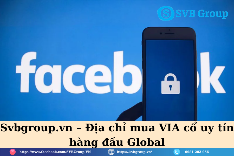 Svbgroup.vn – Địa chỉ mua VIA cổ uy tín hàng đầu Global