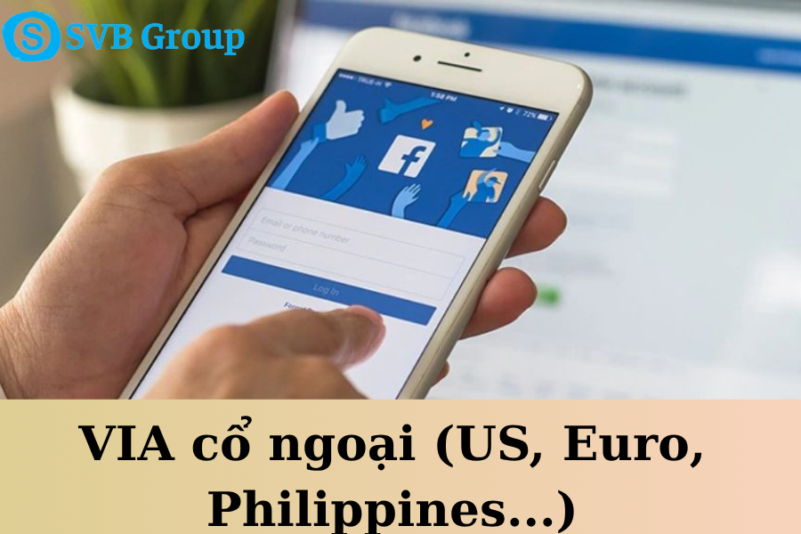 VIA cổ ngoại (US, Euro, Philippines...)